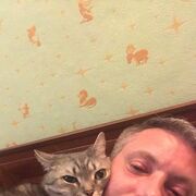 ���������� ������, ���� ������� ������, 50 ���, ������������ ��� ������, ����� � ���������