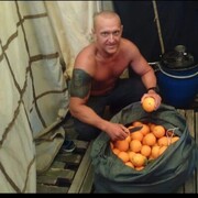  --,   , 41 ,   ,   