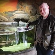 ���������� ������������, ���� ������� �����, 49 ���, ������������ ��� ������, ����� � ���������, c�������� ���������