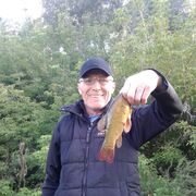  ,   , 63 ,   ,   