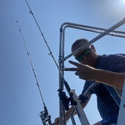 ���������� ������, ���� ������� ������, 36 ���, ������������ ��� ������, c�������� ���������, ���������