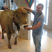 ���������� �����, ���� ������� ������, 43 ����, ������������ ��� ������