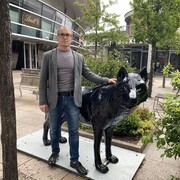  Wolfsburg,   , 44 ,   , 
