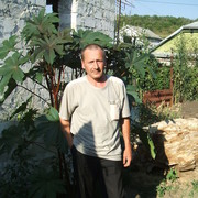  ,   , 62 ,   , 