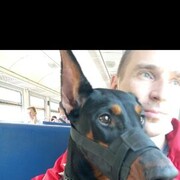  ,  Alexander, 41