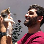 ���������� ����������, ���� ������� ������, 38 ���, ������������ ��� ������, ����� � ���������