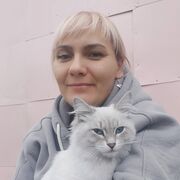 ���������� ������������, ���� ������� �����, 44 ����, ������������ ��� c�������� ���������, ���������