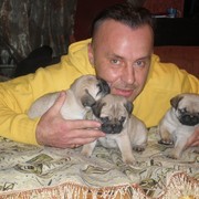  ,   Sergey, 56 ,   ,   , c , 