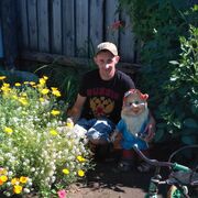 ���������� �������, ���� ������� �������, 38 ���, ������������ ��� ������, ����� � ���������