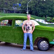 ���������� ����, ���� ������� ���������, 44 ����, ������������ 