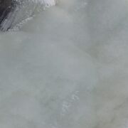 ���������� �����, ���� ������� ������, 40 ���, ������������ ��� ����� � ���������, c�������� ���������