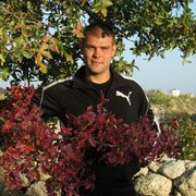 ���������� �����������, ���� ������� ��������, 40 ���, ������������ ��� ������