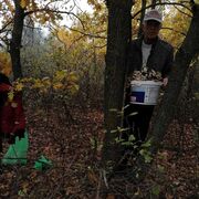 ���������� �������, ���� ������� ����, 68 ���, ������������ ��� ������, ����� � ���������