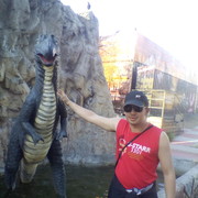  -,   , 34 ,   ,   , c , 