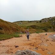 ���������� ����, ���� ������� �������, 60 ���, ������������ ��� ������, ���������