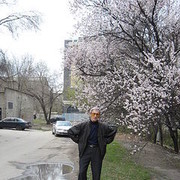 ���������� ������, ���� ������� ����, 82 ����, ������������ ��� ������, ����� � ���������, c�������� ���������