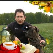  ,   , 61 ,     , c 
