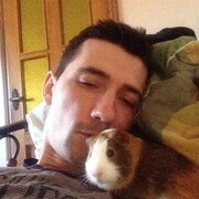  ,   , 37 ,   ,   