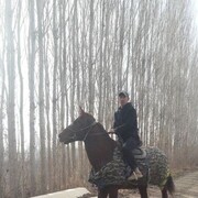 ���������� ������, ���� ������� ��������, 36 ���, ������������ ��� ������, ����� � ���������