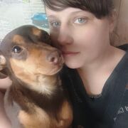 ���������� ����������, ��������