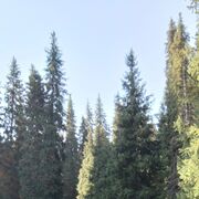 ���������� ������, ���� ������� Artur, 41 ���, ������������ ��� ������, ����� � ���������, ���������