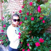 ���������� ������, ���� ������� �������, 34 ����, ������������ ��� ����� � ���������, c�������� ���������