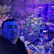  --,   , 39 ,   ,   