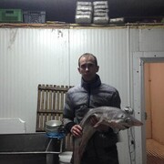  ,   Dima, 41 ,     , c 