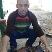 ���������� ���, ���� ������� ������, 38 ���, ������������ ��� ������, ����� � ���������, c�������� ���������