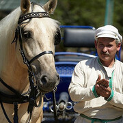  ,   , 51 ,     , c , 