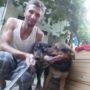  ,   , 44 ,  