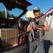 ���������� �����, ���� ������� ������, 58 ���, ������������ ��� c�������� ���������