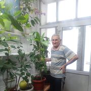  ,   , 80 ,   ,   