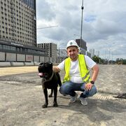 ���������� ������, ���� ������� ����, 31 ���, ������������ ��� c�������� ���������