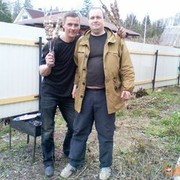  ,   , 53 ,   