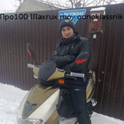  ,   Shaxrux, 31 ,     , c 