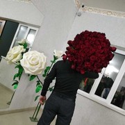  ,   Rma, 26 ,   ,   , c 