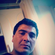  ,   79009650151, 33 ,     , c , 
