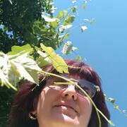  --,   , 49 ,   ,   , 