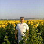  ,   , 53 ,   ,   