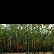 ���������� ������, ���� ������� ����, 34 ����, ������������ ��� ������, ����� � ���������, c�������� ���������