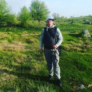 ���������� ����, ���� ������� ���������, 38 ���, ������������ ��� ������, ����� � ���������, c�������� ���������