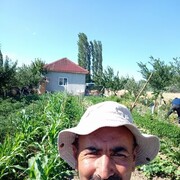  ,   Aydin, 49 ,   ,   