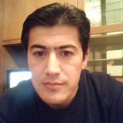  ,   Volvo, 46 ,   