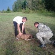 ���������� �������, ���� ������� �������, 42 ����, ������������ ��� ������