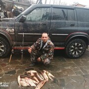 ���������� �����, ���� ������� �������, 40 ���, ������������ ��� ������, ����� � ���������