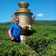 ���������� �����, ���� ������� ���������, 33 ����, ������������ ��� ������, ����� � ���������