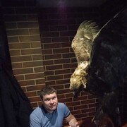 ���������� ����, ���� ������� ������, 40 ���, ������������ ��� ������, ����� � ���������, c�������� ���������