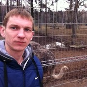 ���������� �����, ���� ������� ������, 37 ���, ������������ ��� ������