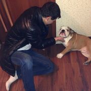 ���������� ���, ���� ������� �����, 36 ���, ������������ ��� ������, ����� � ���������